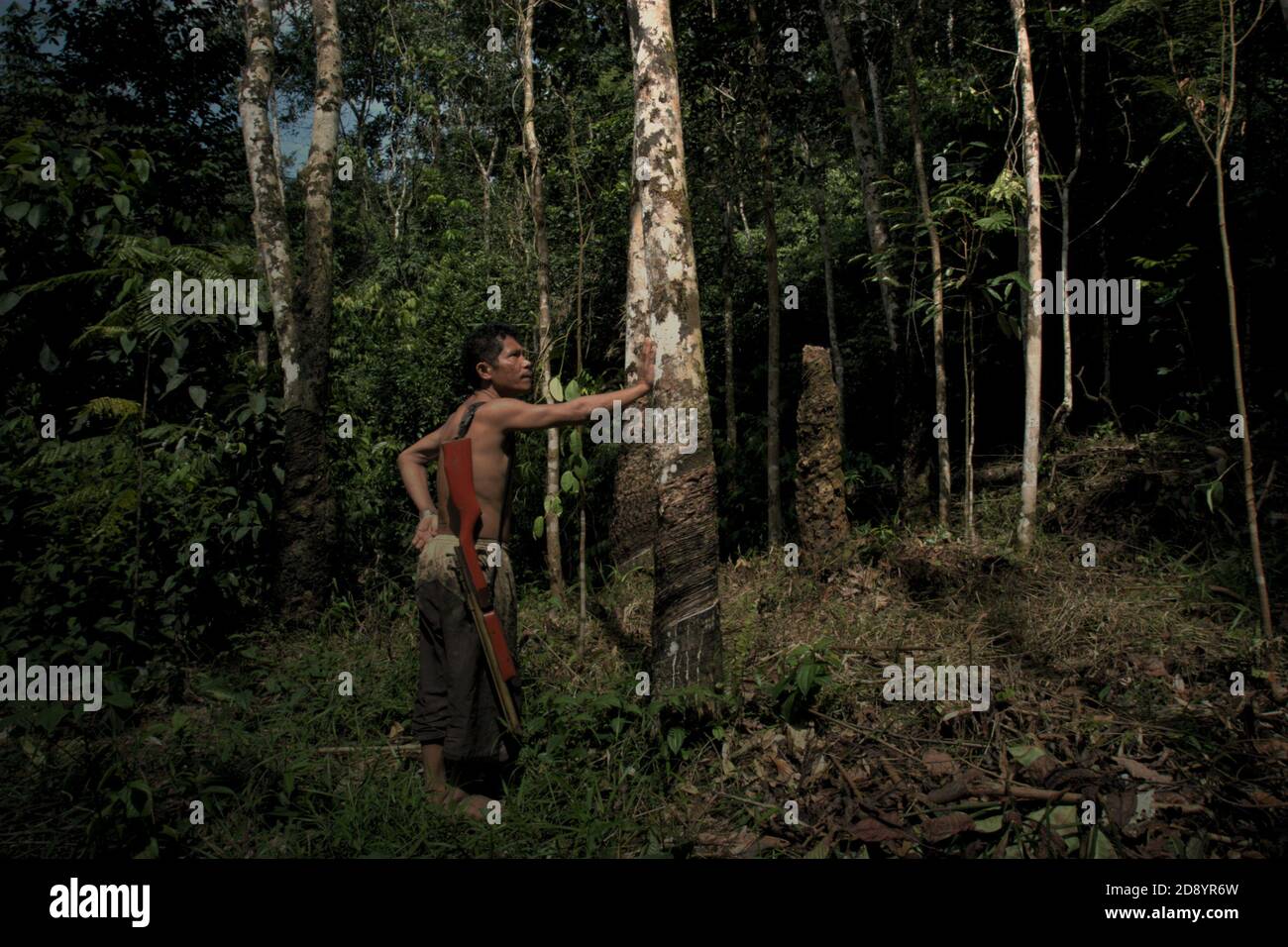 Tohab Hutagalung, ein Bauerndorf, hält ein Luftgewehr auf der Suche nach einer alternativen Proteinquelle in der Mitte des Batang Toru Waldes in Sitahuis, Central Tapanuli, Nord-Sumatra, Indonesien. Gemeinden, die in und um den Regenwald leben, sind neben der Landwirtschaft zum Teil auf die Nahrungssuche und Nahrungsaufnahme angewiesen. Naturschützer haben sich diesem Thema gestellt, indem sie die Stärkung der Gemeinschaft als integralen Bestandteil jeder Naturschutzbemühung setzen, indem sie Bildung und Unterstützung für Gemeinden bei der Suche nach einer alternativen Einkommensquelle bieten, die nachhaltiger und umweltfreundlicher ist. Stockfoto