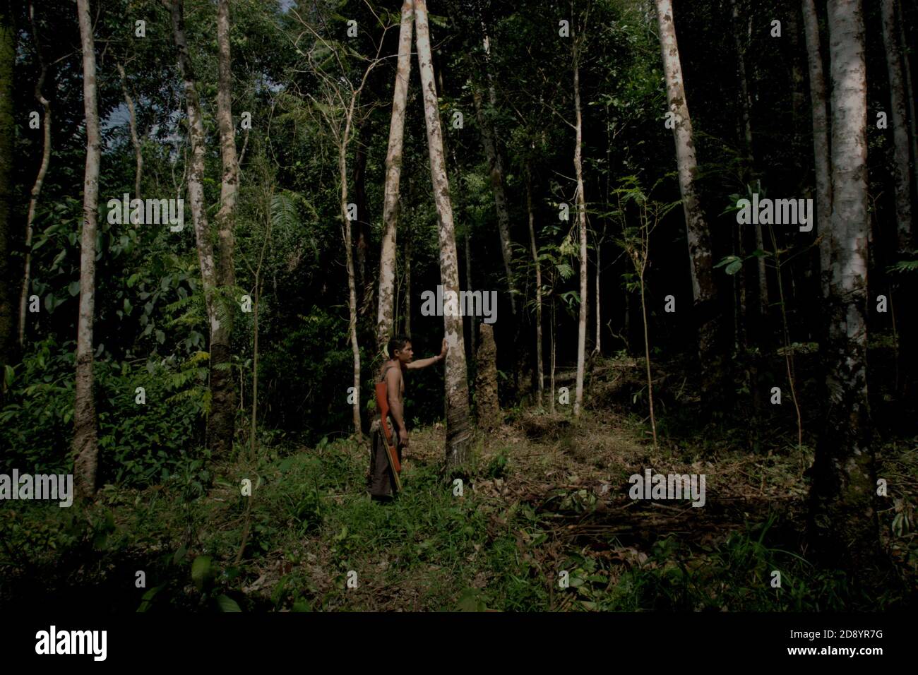 Tohab Hutagalung, ein Bauerndorf, hält ein Luftgewehr auf der Suche nach einer alternativen Proteinquelle in der Mitte des Batang Toru Waldes in Sitahuis, Central Tapanuli, Nord-Sumatra, Indonesien. Gemeinden, die in und um den Regenwald leben, sind neben der Landwirtschaft zum Teil auf die Nahrungssuche und Nahrungsaufnahme angewiesen. Naturschützer haben sich diesem Thema gestellt, indem sie die Stärkung der Gemeinschaft als integralen Bestandteil jeder Naturschutzbemühung setzen, indem sie Bildung und Unterstützung für Gemeinden bei der Suche nach einer alternativen Einkommensquelle bieten, die nachhaltiger und umweltfreundlicher ist. Stockfoto