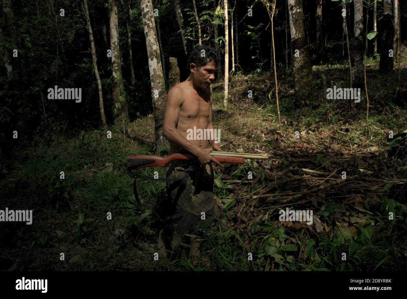 Tohab Hutagalung, ein Bauerndorf, hält ein Luftgewehr auf der Suche nach einer alternativen Proteinquelle in der Mitte des Batang Toru Waldes in Sitahuis, Central Tapanuli, Nord-Sumatra, Indonesien. Gemeinden, die in und um den Regenwald leben, sind neben der Landwirtschaft zum Teil auf die Nahrungssuche und Nahrungsaufnahme angewiesen. Naturschützer haben sich diesem Thema gestellt, indem sie die Stärkung der Gemeinschaft als integralen Bestandteil jeder Naturschutzbemühung setzen, indem sie Bildung und Unterstützung für Gemeinden bei der Suche nach einer alternativen Einkommensquelle bieten, die nachhaltiger und umweltfreundlicher ist. Stockfoto