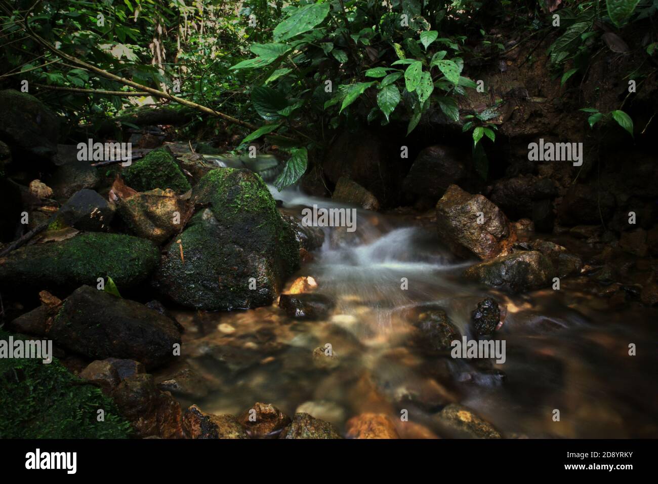 Ein kleiner Bach in einem Wald am Rande des westlichen Blocks des Ökosystems Batang Toru in Central Tapanuli, Nord-Sumatra, Indonesien. Stockfoto