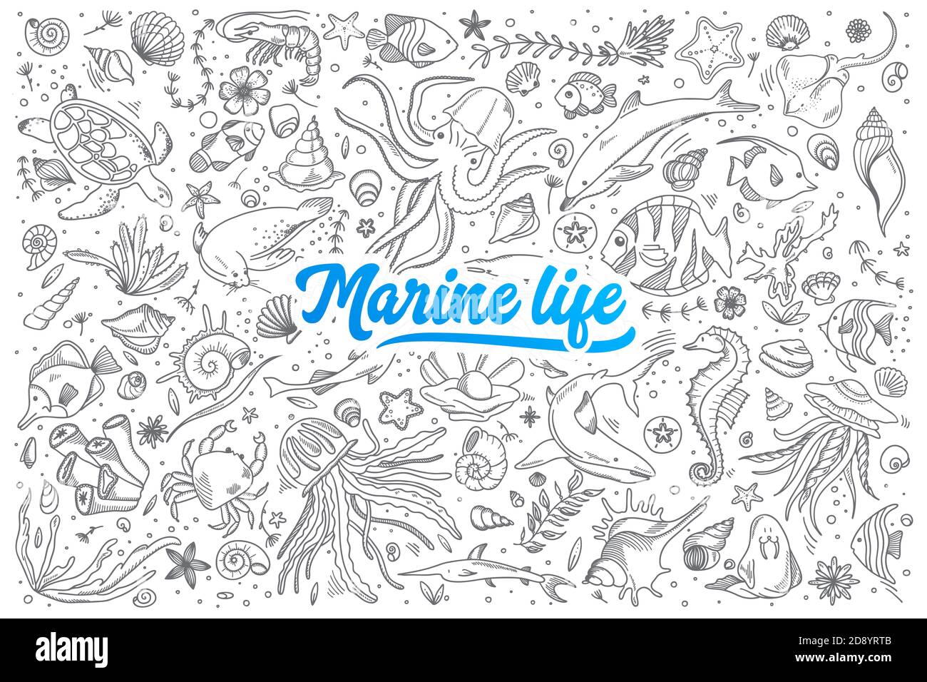Handgezeichnetes Set marine life doodles mit blauen Schriftzügen In Vektor Stockfoto
