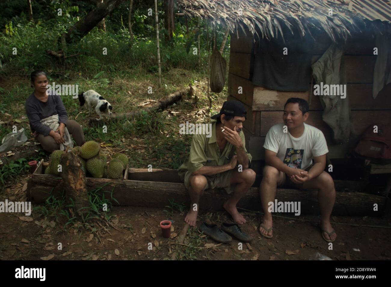 Ramli Hutagalung und seine Frau unterhalten sich mit einem Mitglied eines Teams von Schutzhelfern, das eine Feldstudie durchführt, um das Potenzial des Batang Toru-Ökosystems zu messen, das als Naturschutzgebiet vorgeschlagen werden soll. Sitahuis, Central Tapanuli, Nord-Sumatra, Indonesien. Stockfoto