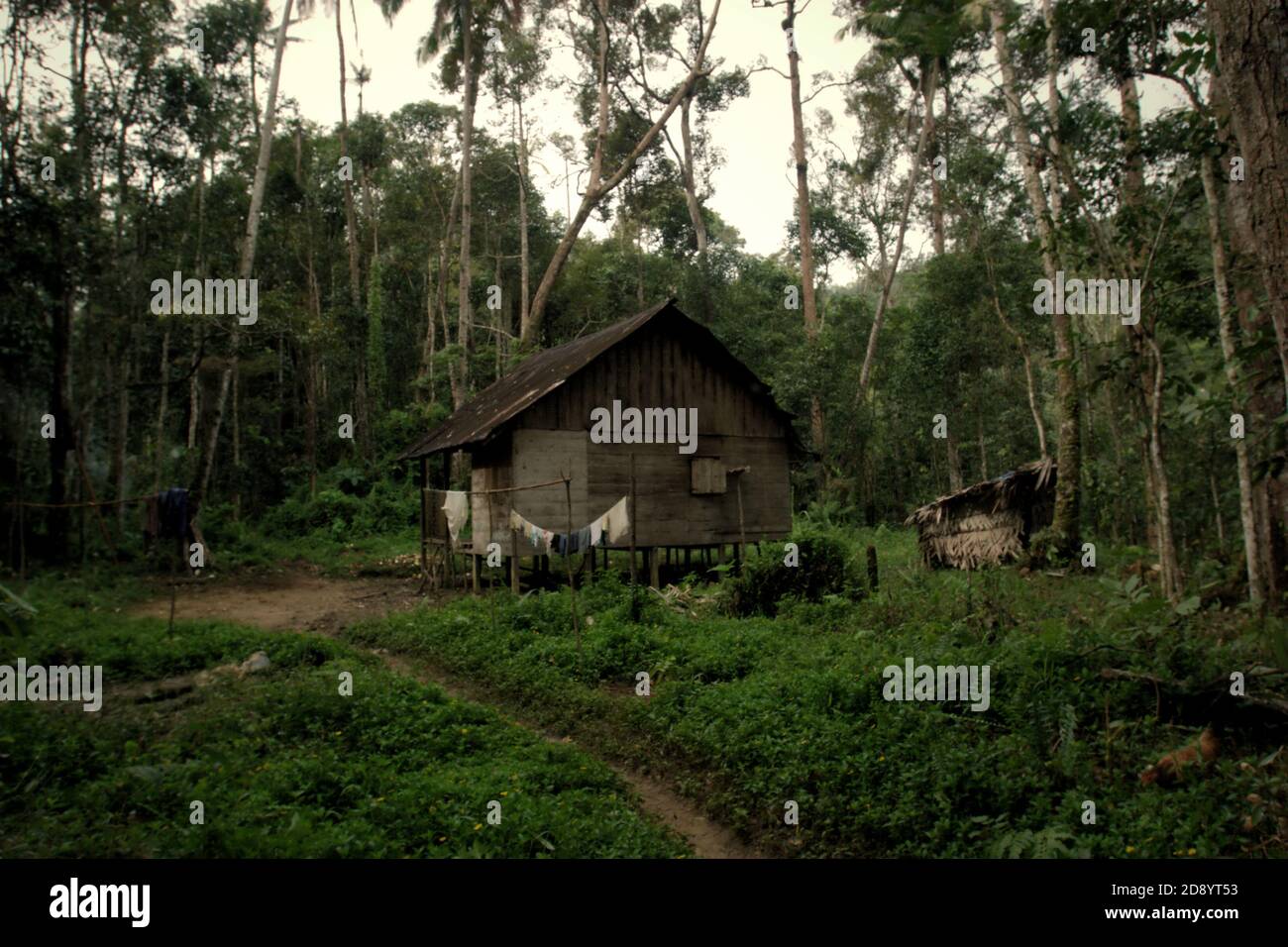 Ein Bauernhaus am Rande des Ökosystems Batang Toru in Nauli Dorf im Sitahuis Bezirk, Central Tapanuli Regentschaft, Nord-Sumatra Provinz, Indonesien. Stockfoto