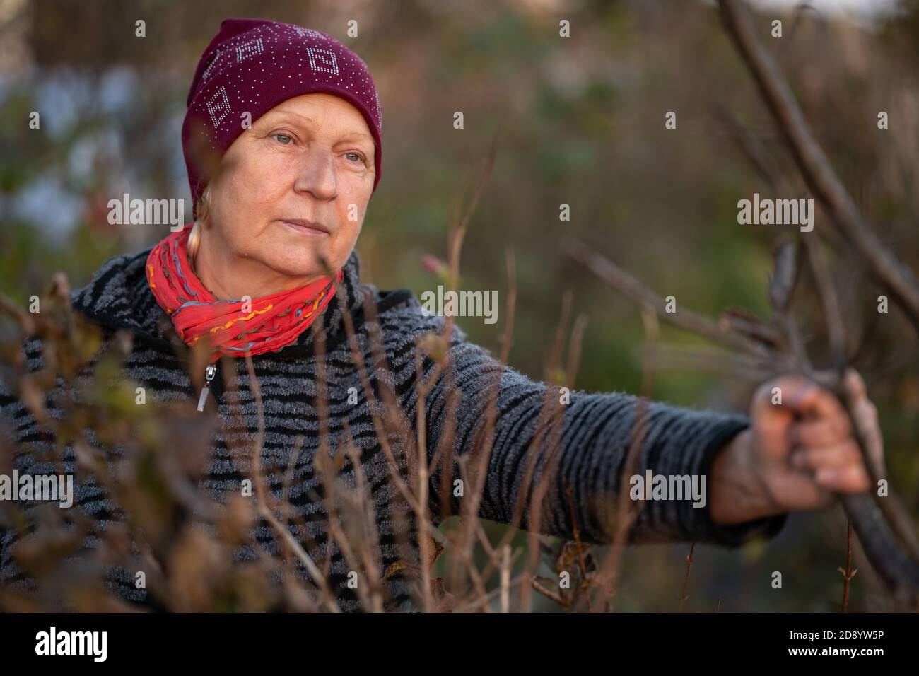 Herbstporträt der schönen alten Frau. Tageslicht. Stockfoto