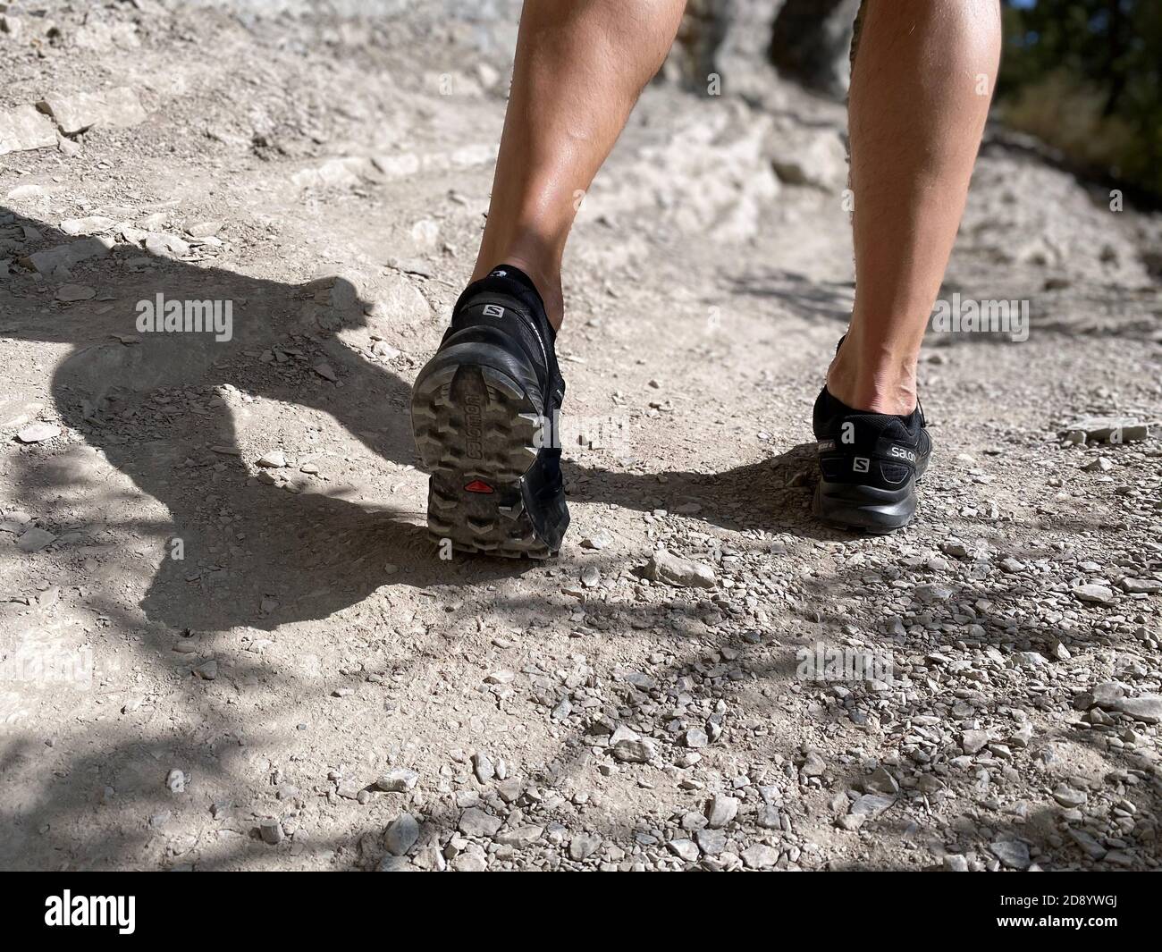 Sotschi, Russland - 6. Oktober 2020: Beine Mann in Laufschuhen Salomon Speedcross 4 gtx Wandern auf Bergpfad Stockfoto
