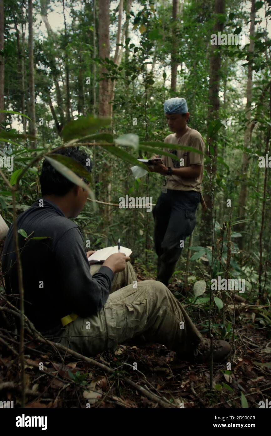 Conservation Workers Notizen über Biodiversität und Arten von Vegetation Sie haben bei einer Felduntersuchung in einem Wald gefunden Gebiet, das ein Teil von Ba ist Stockfoto