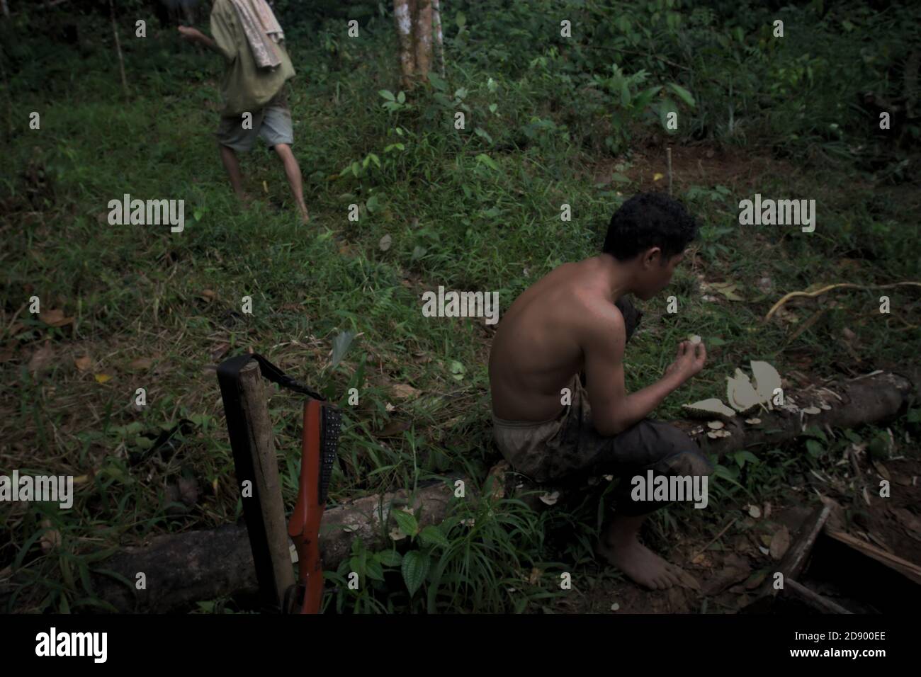Tohab Hutagalung genießt seine Durian-Früchte in der Mitte des Batang Toru-Waldes in Sitahuis, Central Tapanuli, Nord-Sumatra, Indonesien. Stockfoto
