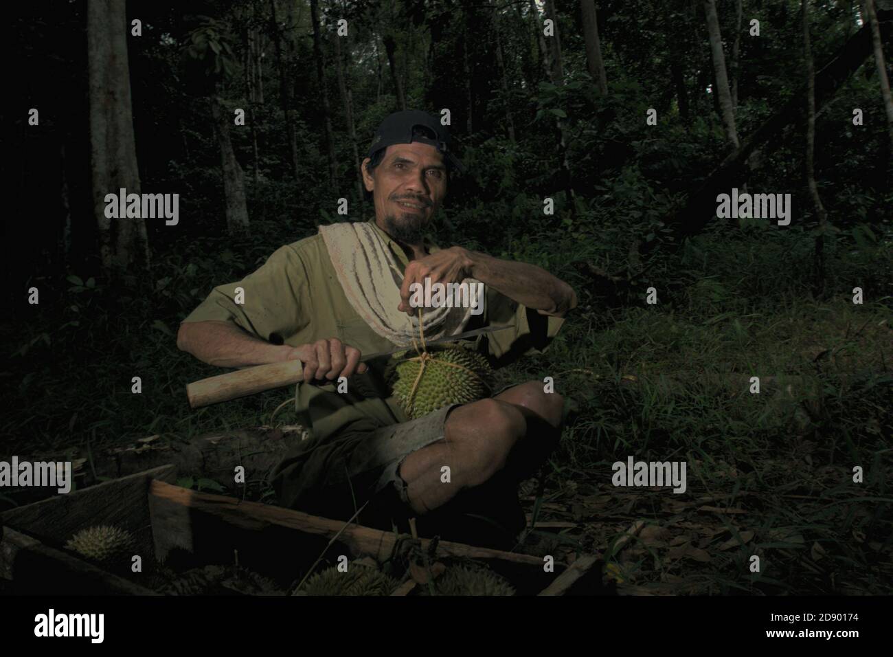 Tohab Hutagalung, ein Bauernvillager, zeigt Durian Früchte, die er um seine Hütte inmitten des Batang Toru Waldes in Nord-Sumatra, Indonesien gesammelt hat. Stockfoto