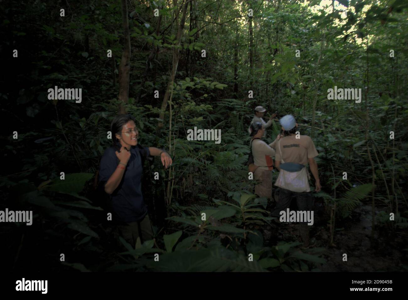 Ein Team von Naturschutzarbeitern, die eine Felduntersuchung im Regenwald durchführen, der Teil des Lebensraums der fragmentierten Sumatra-Orang-Utan-Population in der Regentschaft Central Tapanuli, Provinz Nord-Sumatra, Indonesien ist. Stockfoto