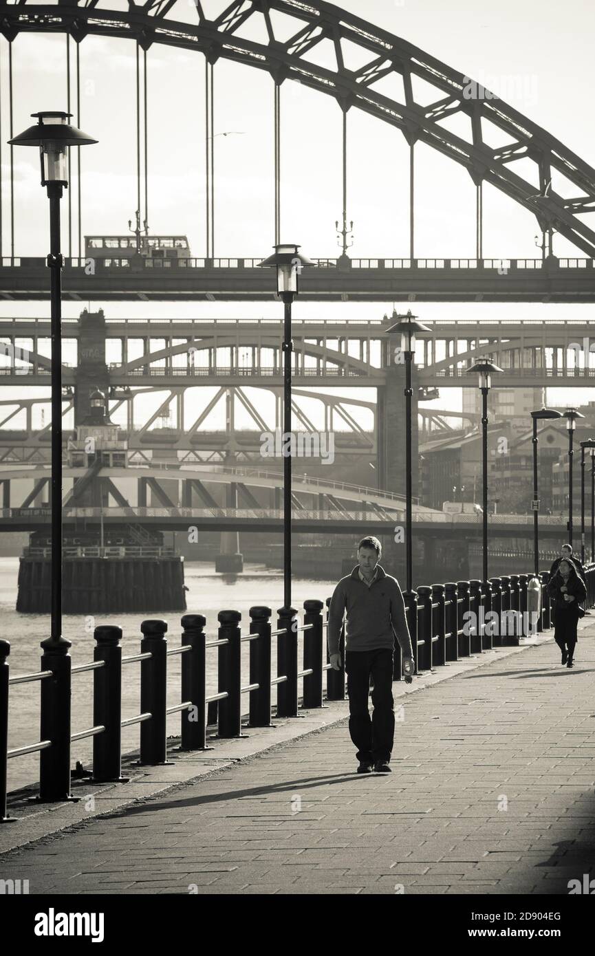 Blick auf einige der sieben Brücken über den Fluss Tyne in Newcastle upon Tyne, Nordostengland. Stockfoto