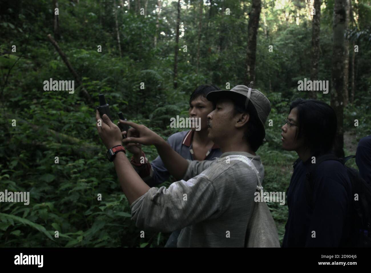 Ein Team von Naturschutzarbeitern, die eine Felduntersuchung im Regenwald durchführen, der Teil des Lebensraums der fragmentierten Sumatra-Orang-Utan-Population in der Regentschaft Central Tapanuli, Provinz Nord-Sumatra, Indonesien ist. Stockfoto