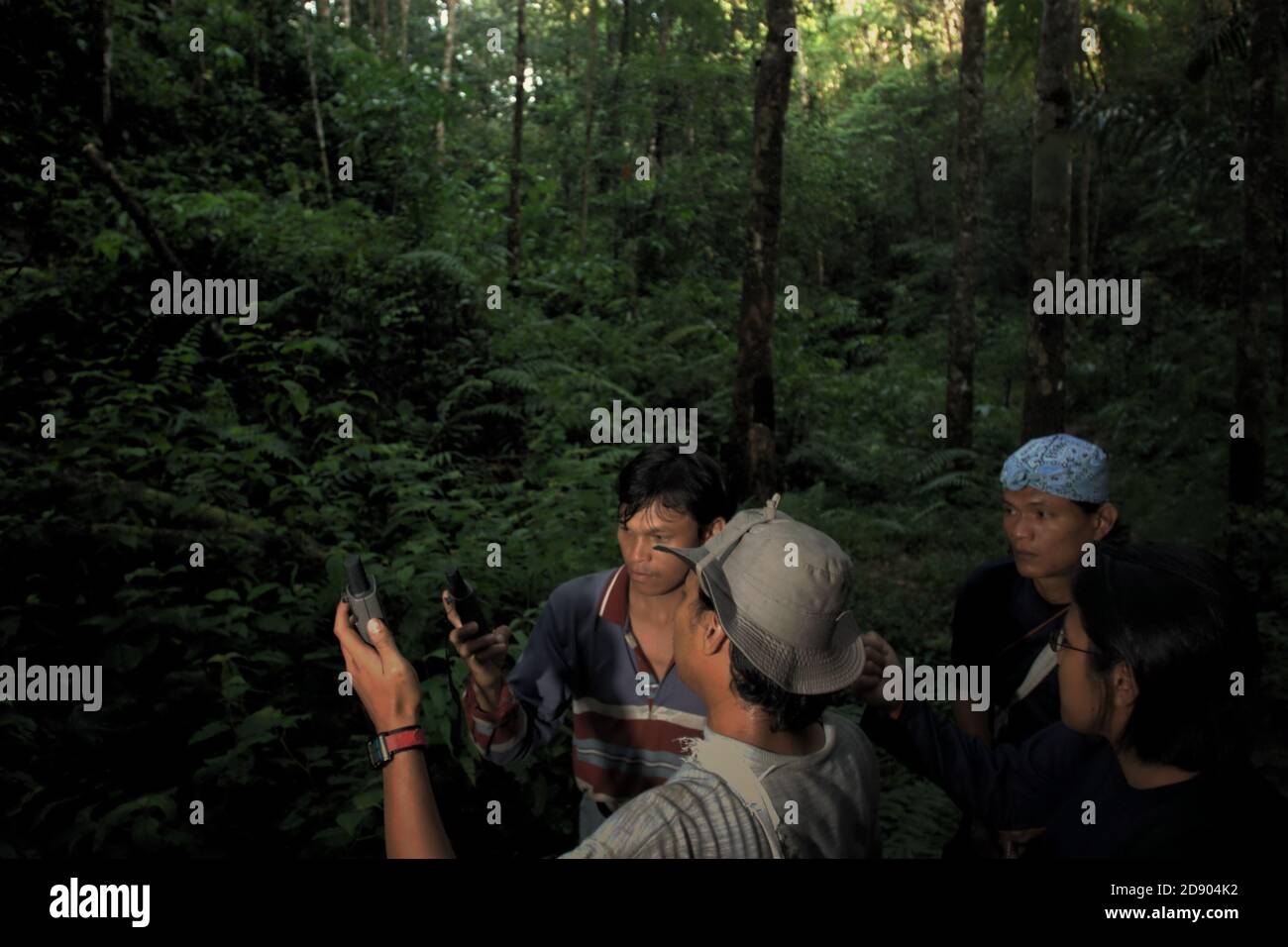 Ein Team von Naturschutzarbeitern, die eine Felduntersuchung im Regenwald durchführen, der Teil des Lebensraums der fragmentierten Sumatra-Orang-Utan-Population in der Regentschaft Central Tapanuli, Provinz Nord-Sumatra, Indonesien ist. Stockfoto