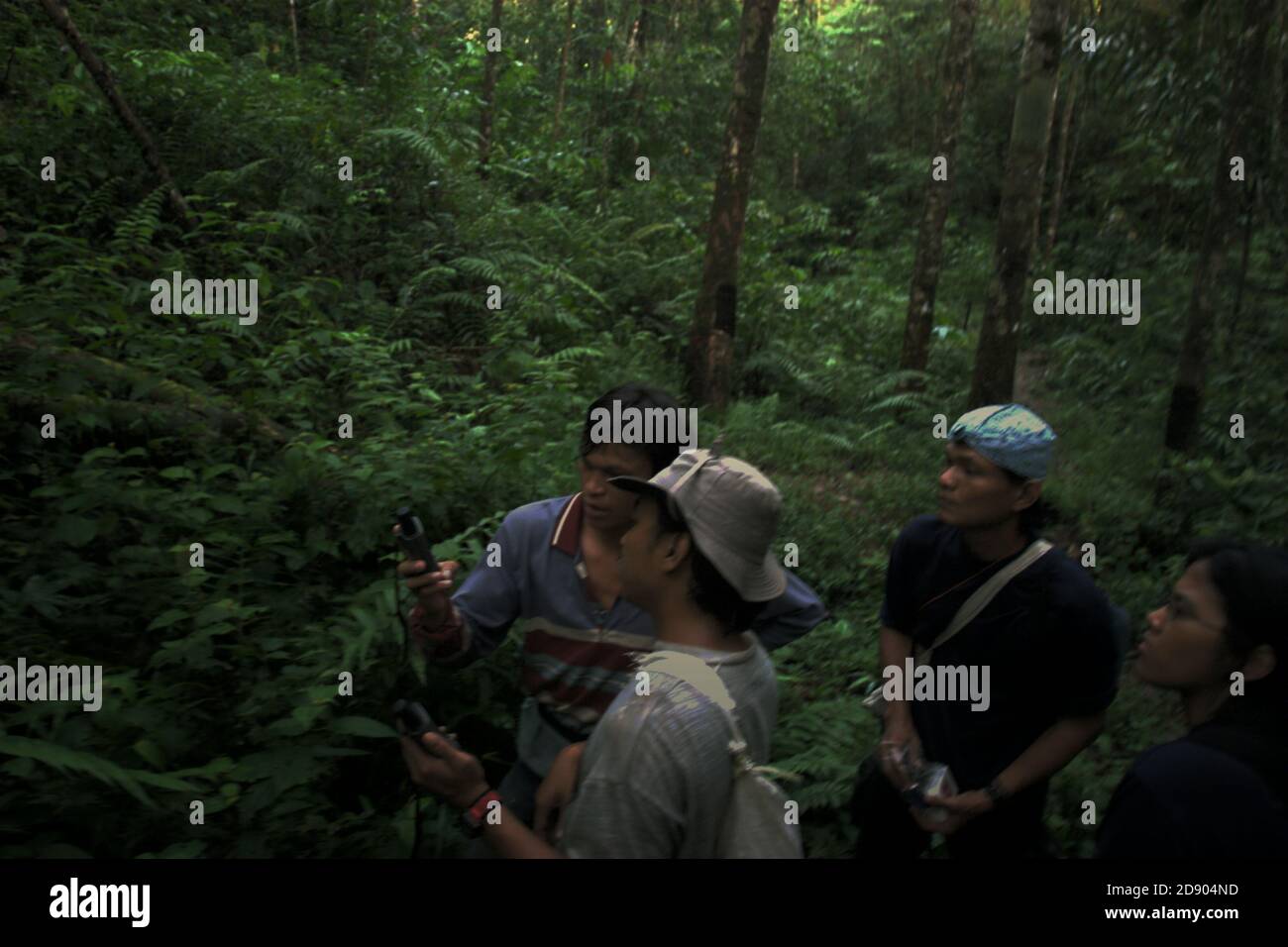 Ein Team von Naturschutzarbeitern, die eine Felduntersuchung im Regenwald durchführen, der Teil des Lebensraums der fragmentierten Sumatra-Orang-Utan-Population in der Regentschaft Central Tapanuli, Provinz Nord-Sumatra, Indonesien ist. Stockfoto