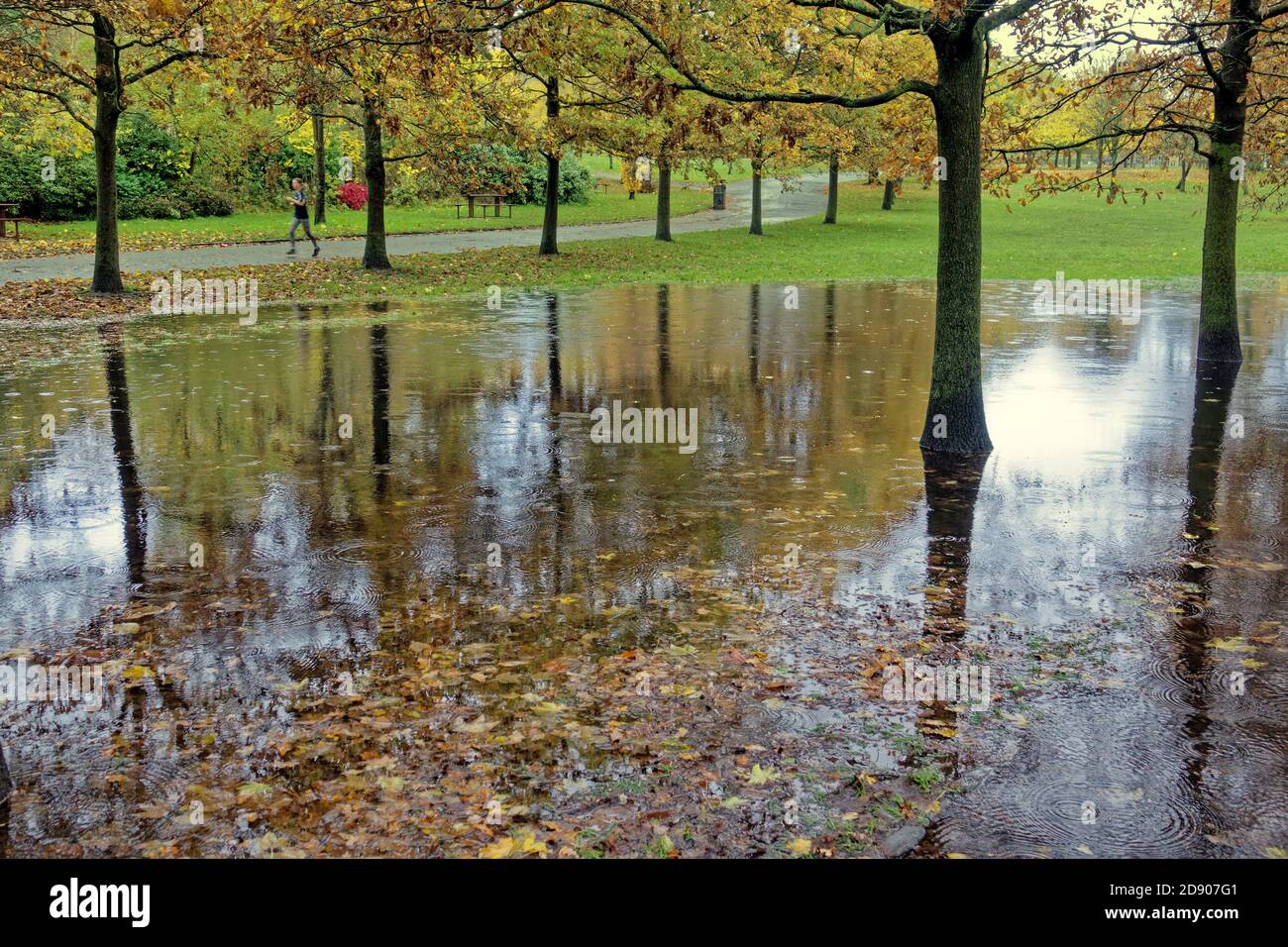 Glasgow, Schottland, Großbritannien. 2ndt November, 2020: UK Wetter:Hochwasser sah kelvingrove Park unter Wasser und unter Partick Eisenbahnbrücke in einer Spur überflutet . Quelle: Gerard Ferry/Alamy Live News Stockfoto