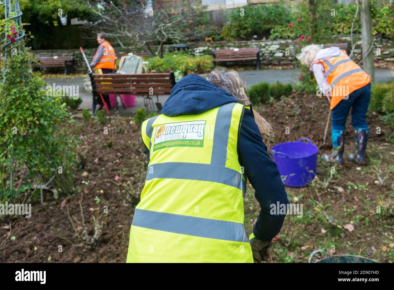 Freiwillige von der Gartenbaugruppe Newquay in Bloom arbeiten in den Trenance Gardens in Newquay in Cornwall. Stockfoto