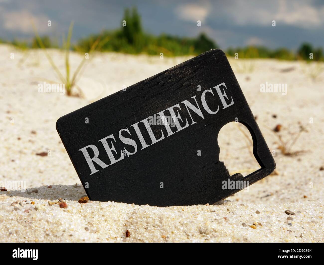 Schwarze Platte mit Resilience Wort und Kopf Form. Stockfoto