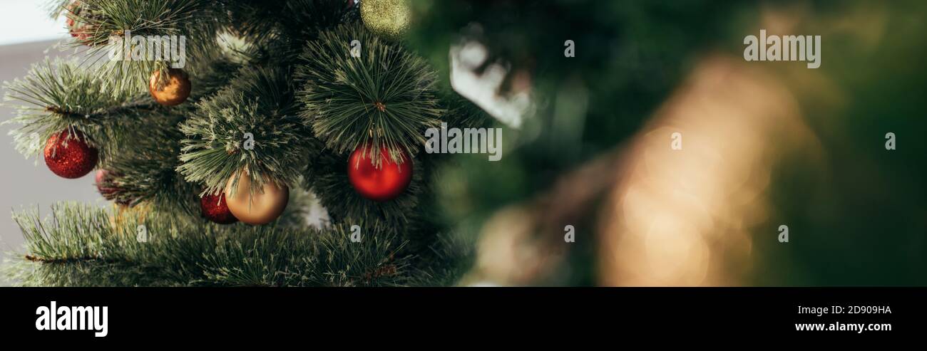 Bunte weihnachtskugeln auf grüner Kiefer, Banner Stockfoto