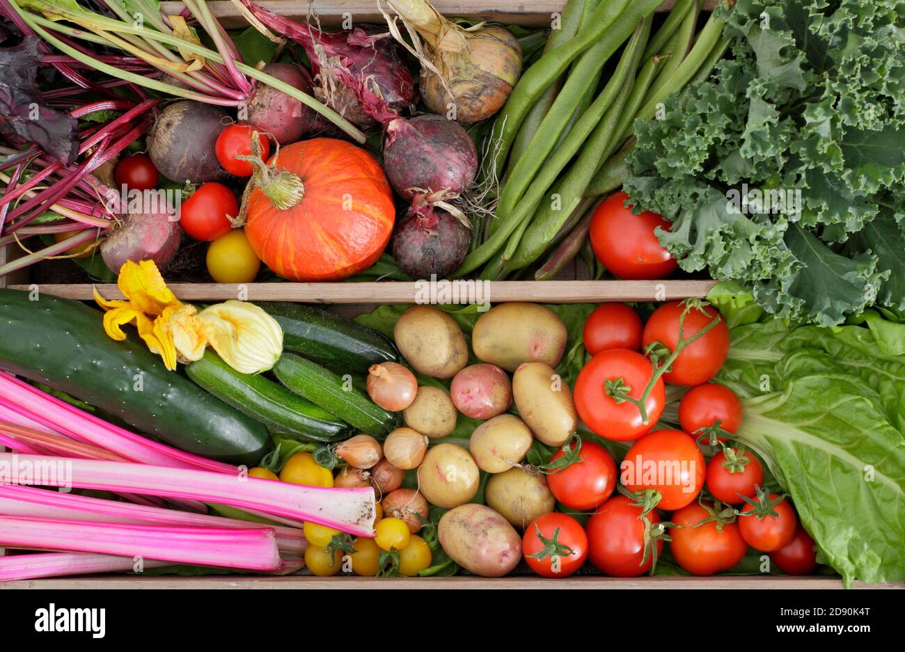 Hausgemachte Produkte in einem britischen Garten angebaut. Mangold, Gurken, Zucchini, Kürbis, Läuferbohnen, Tomaten, Grünkohl, Rote Beete, Zwiebeln, Kartoffeln. Stockfoto