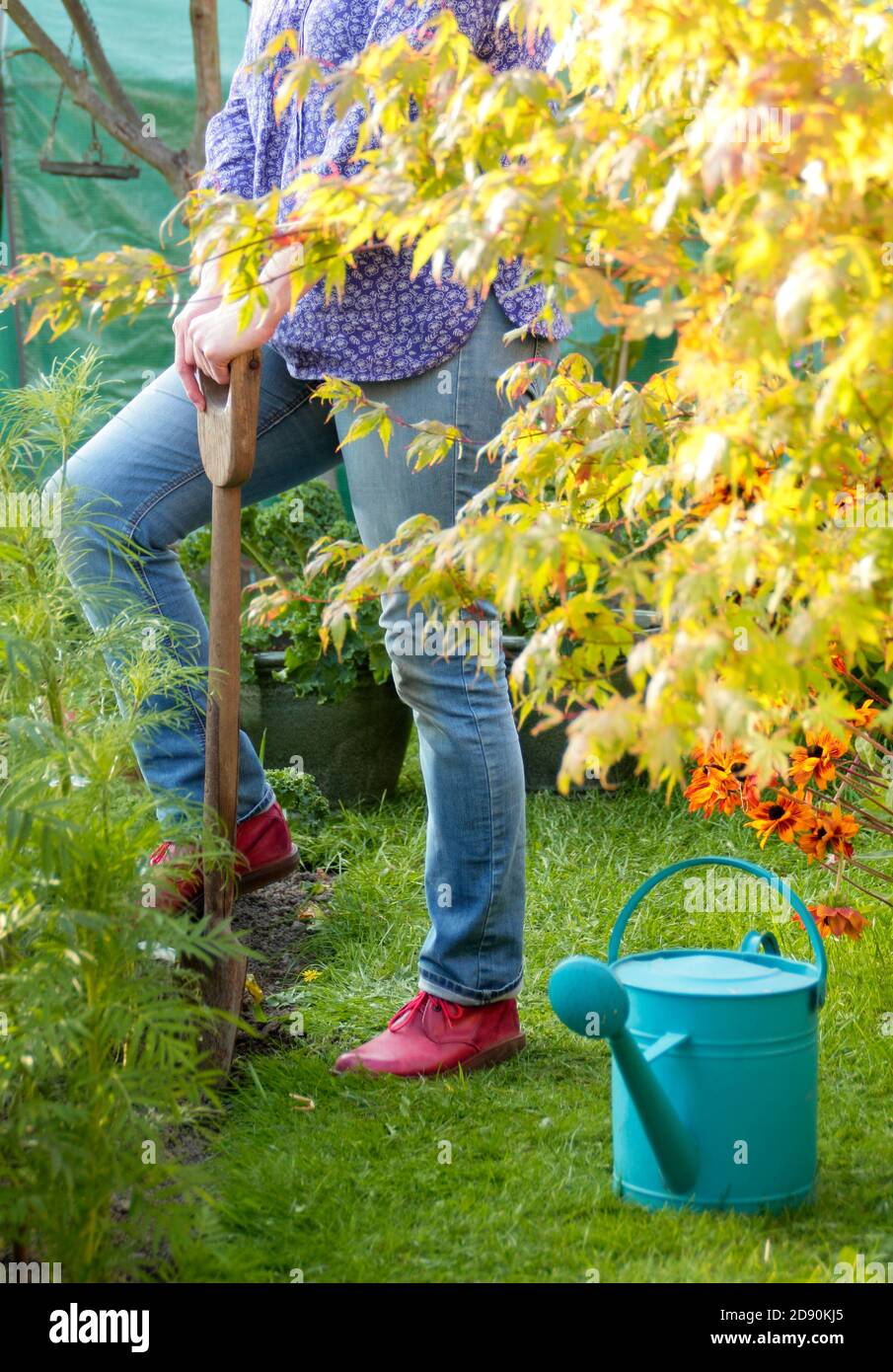 Frau, die im Spätsommer ein Gemüsegarten in einem Garten begeht. VEREINIGTES KÖNIGREICH Stockfoto