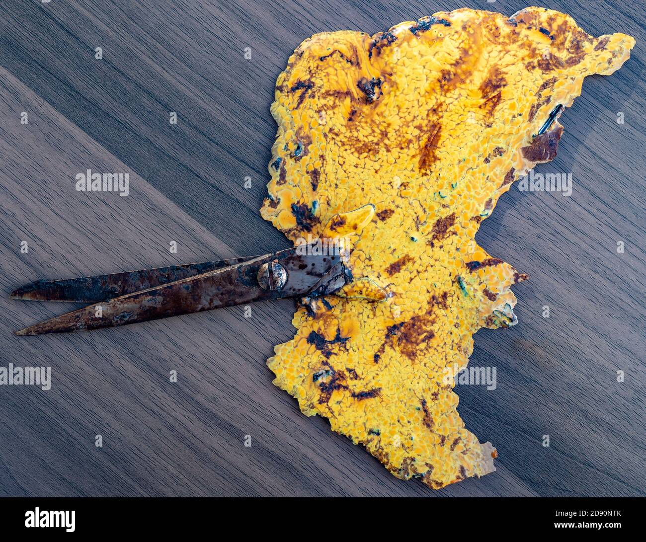 Was war eine Schere, mit der Kunststoffgriffe zu einer flachen Form und Muster geschmolzen, nachdem sie versehentlich in einem heißen Ofen gebacken wurden. Stockfoto