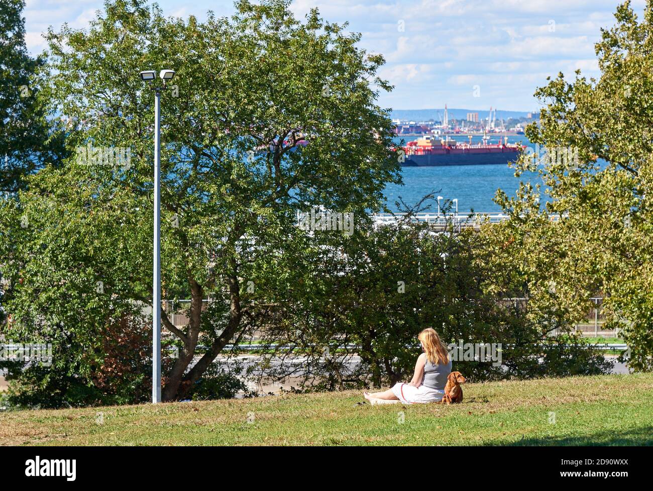 Brooklyn, NY - September 30 2020: Ein Mädchen und ihr Hund sitzen auf dem Gras im Owl's Head Park in Bay Ridge Brooklyn, mit Blick auf die Schiffe in New York Harb Stockfoto