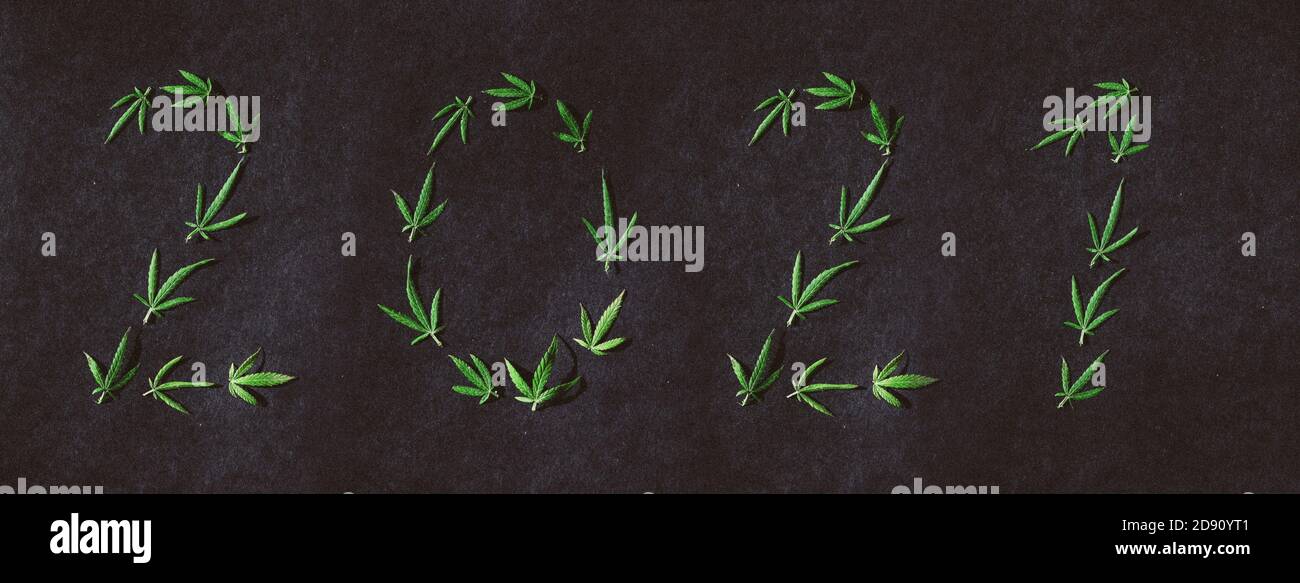 Muster von Cannabisblättern in Form von Zahlen 2021 auf dunklem Hintergrund. Das Konzept eines neuen Jahres. Hintergrund der Cannabispflanze. Speicherplatz kopieren. Der Stockfoto