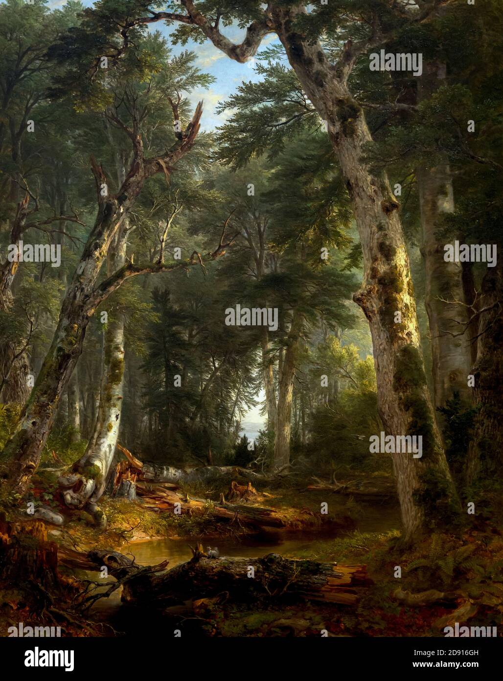 In den Wäldern, Asher B Durand, 1855, Metropolitan Museum der Kunst, Manhattan, New York City, USA, Nordamerika Stockfoto