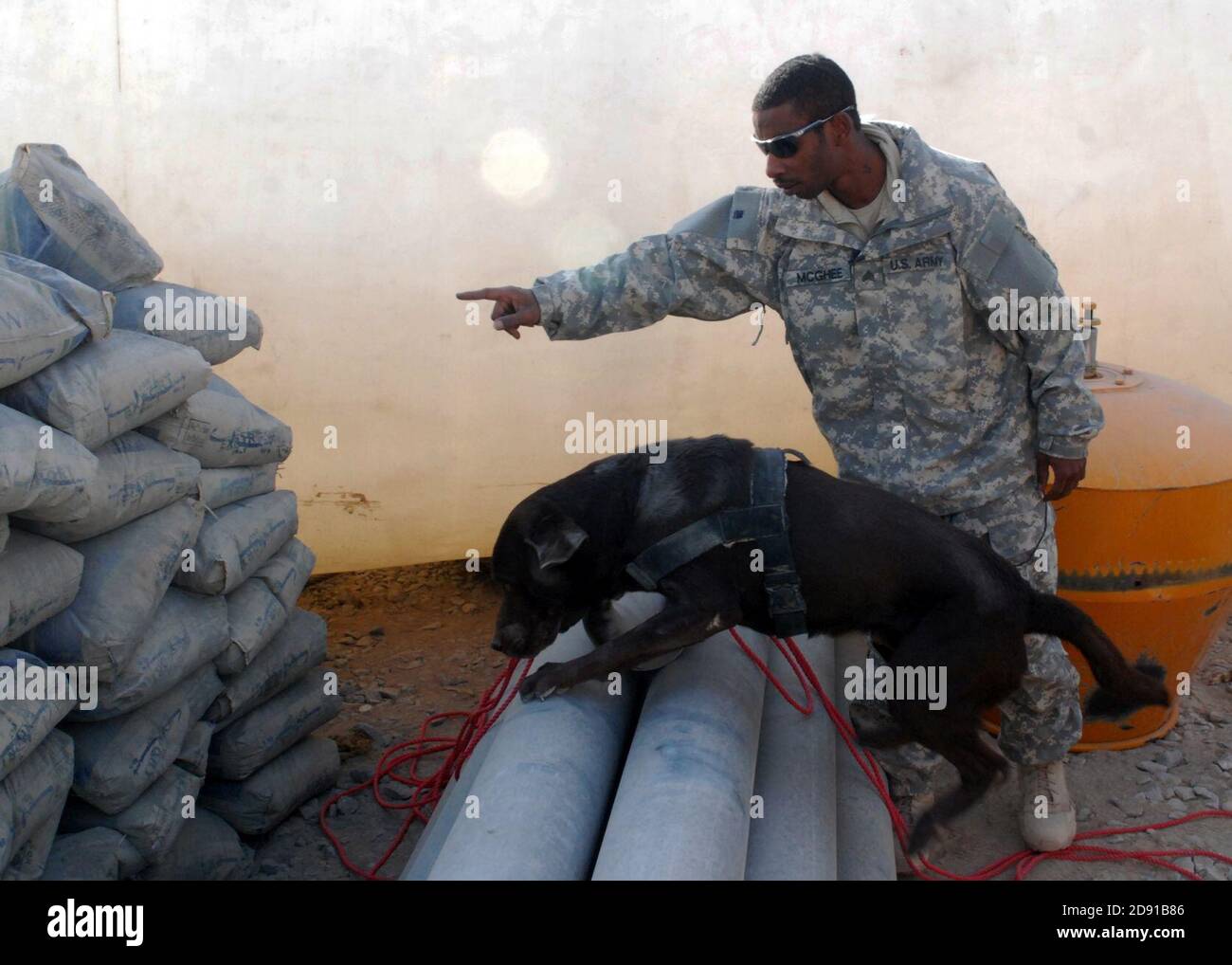 K-9-Einheit sucht nach IEDs Stockfoto