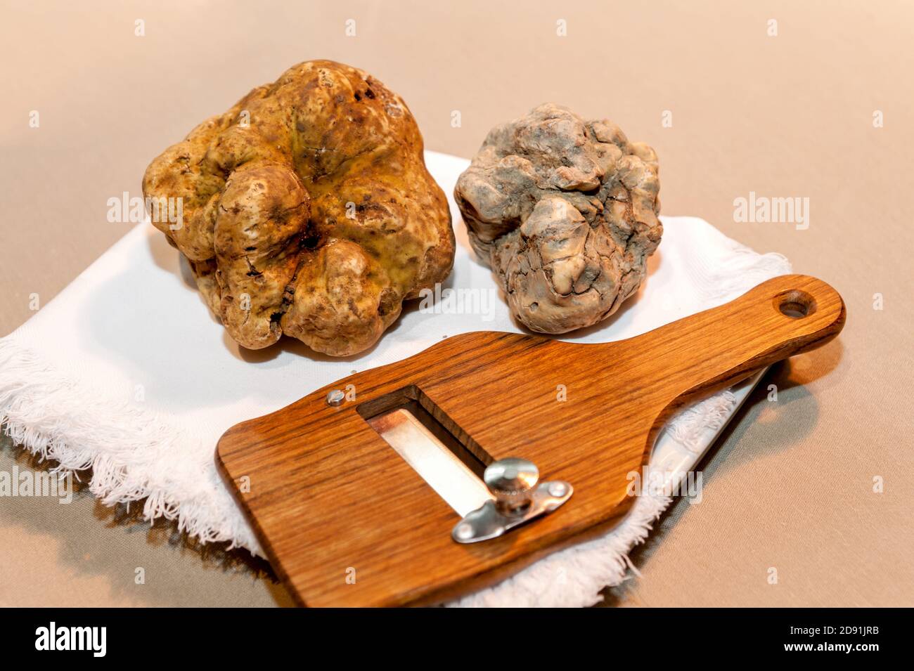 Zwei große weiße Alba-Trüffel auf Holzschneidemaschine und weiß Serviette Stockfoto