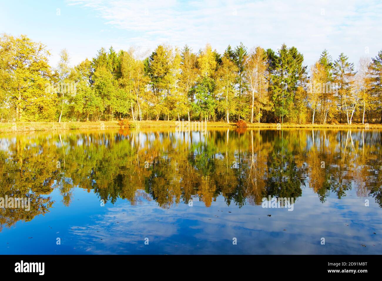Bäume im Herbst spiegeln sich in stillen See. Vollformat, horizontale Komposition. Stockfoto