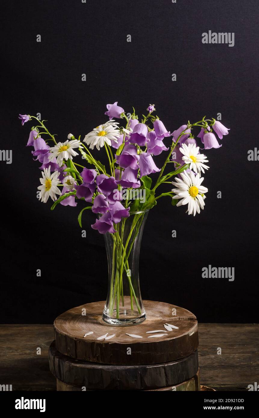 Ein anmutiger Bouquet von Kamillenblumen und Glocken in einer Vase auf schwarzem Hintergrund in einem dunklen Stil, Stillleben Stockfoto