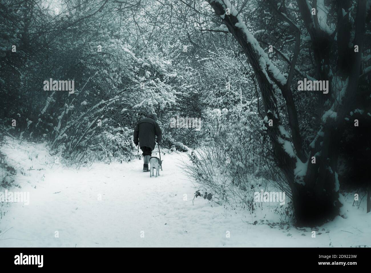 Almost Home - Winterspaziergang Stockfoto