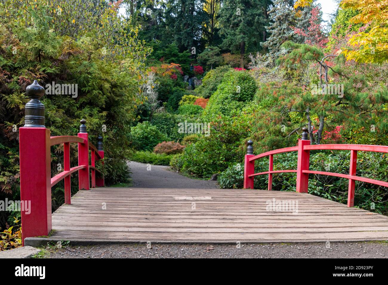 Rote Fußbrücke im japanischen Stil in den Kubota Gardens in Seattle, Washington, USA Stockfoto