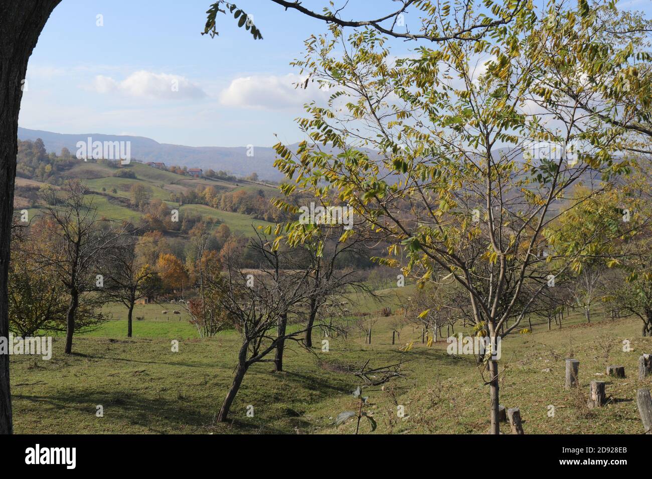 Herbst hügelige Landschaft am Berg Majevica, Bosnien und Herzegowina Stockfoto