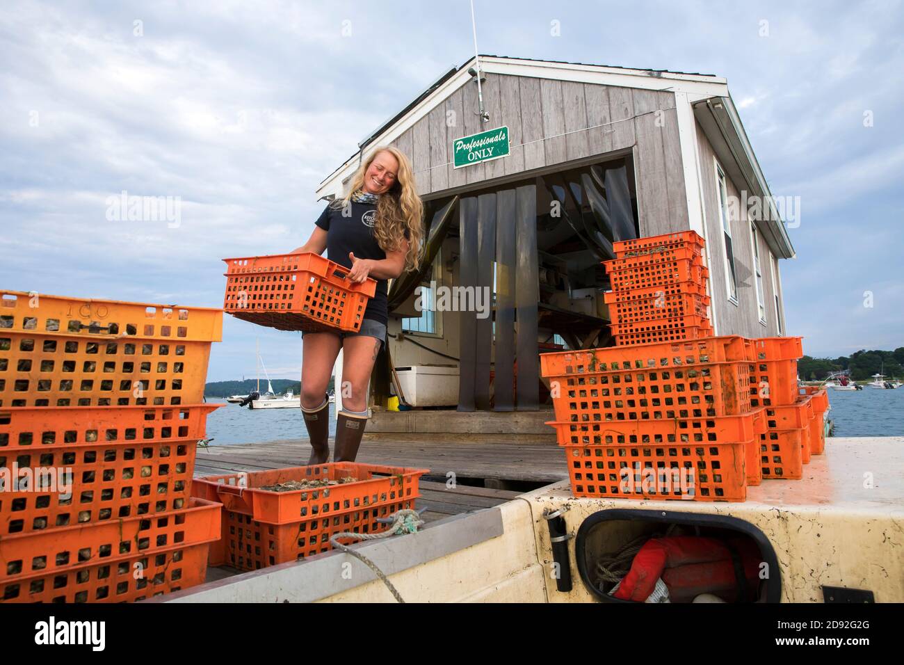 Weibliche Muschelzüchter mit orangen Austernkisten Stockfoto