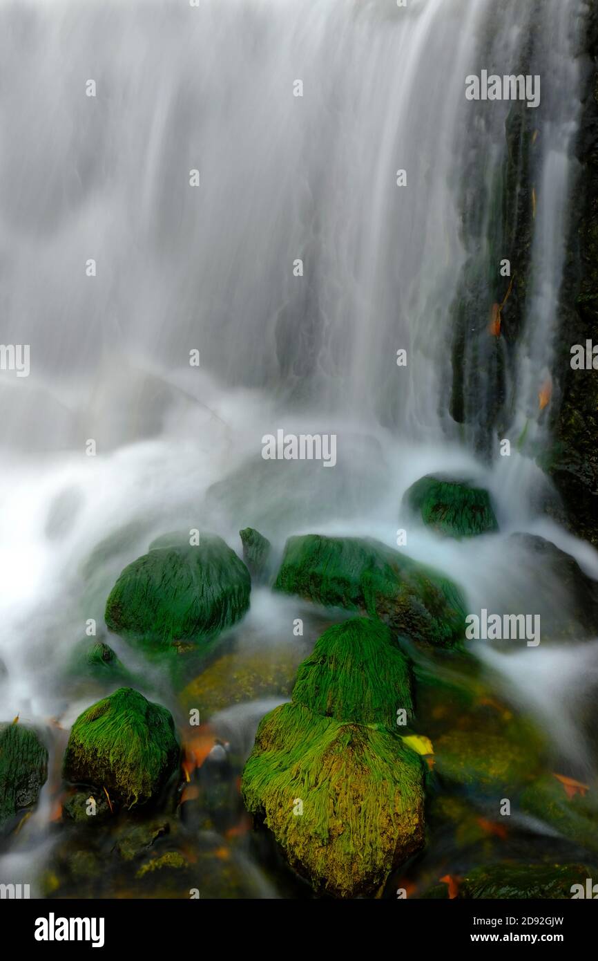 Wasserfall von fließendem Wasser aus Bach oder Bach mit Fall Herbstlaub Stockfoto