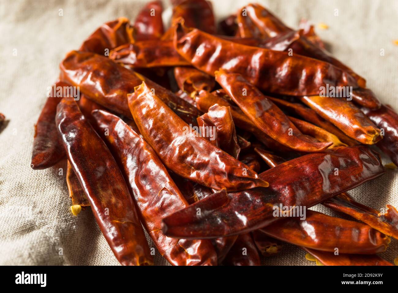 Bio würzige rote indische Paprika bereit zum Kochen mit Stockfoto