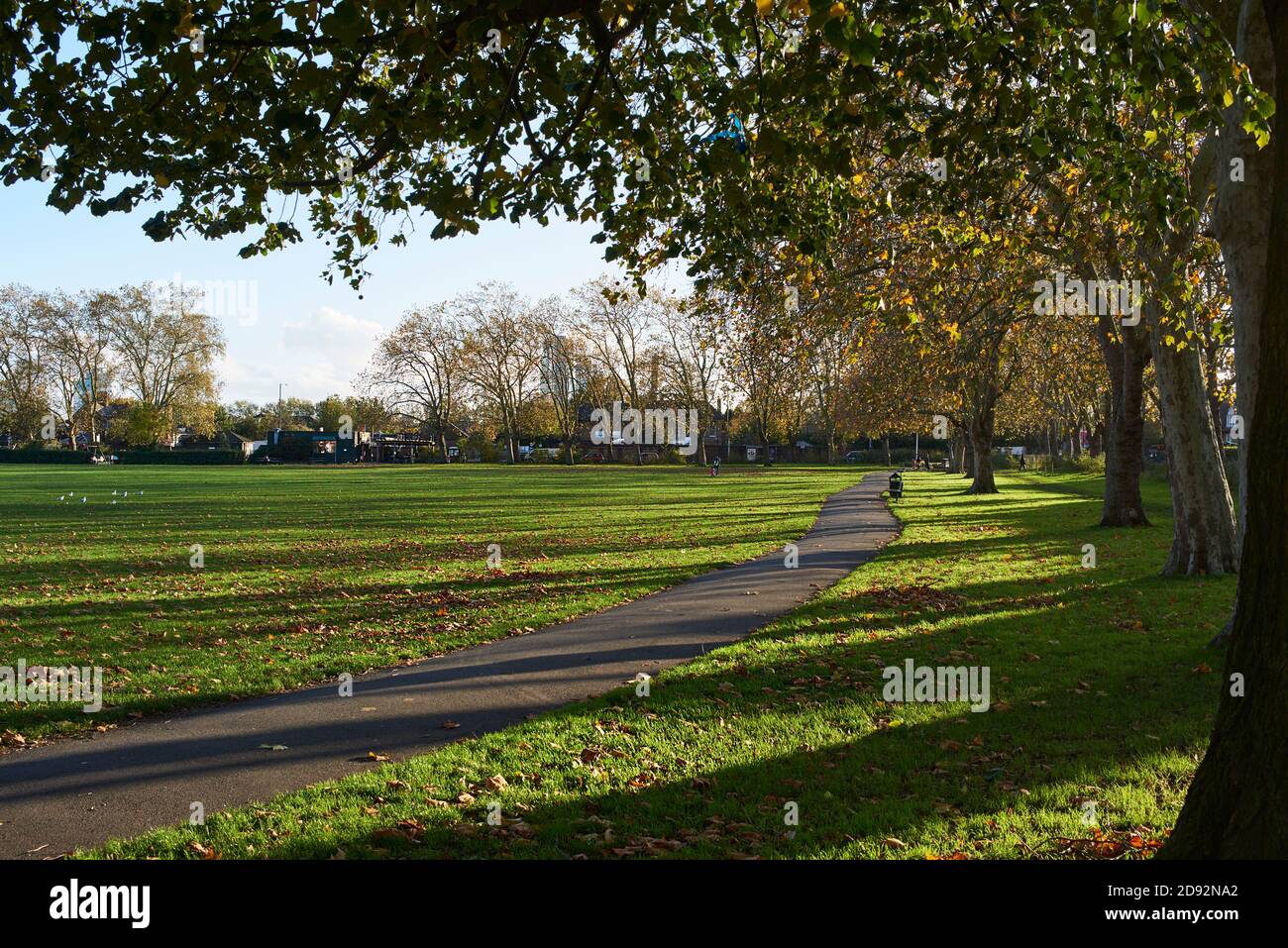 Chestnuts Park, South Tottenham, North London, Großbritannien, im Herbst Stockfoto