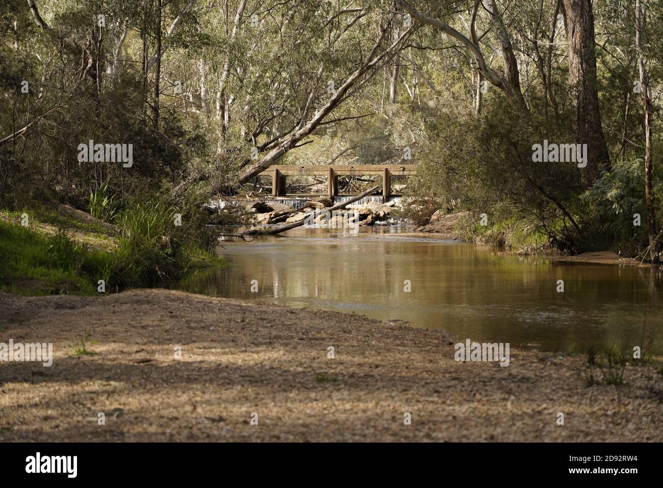 Gold und Edelstein tragenden Flusskies von Reedy Creek, Victoria Australien Stockfoto