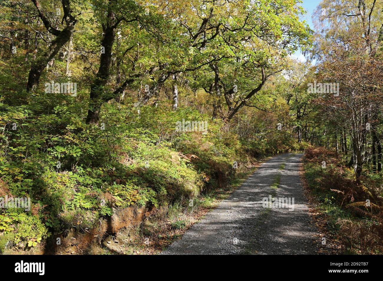 CWM Coel, Garreg DDU Reservoir Wanderweg, Elan Valley, Rhayader, Radnorshire, Powys, Wales, Großbritannien, Großbritannien, Großbritannien, Großbritannien, Europa Stockfoto