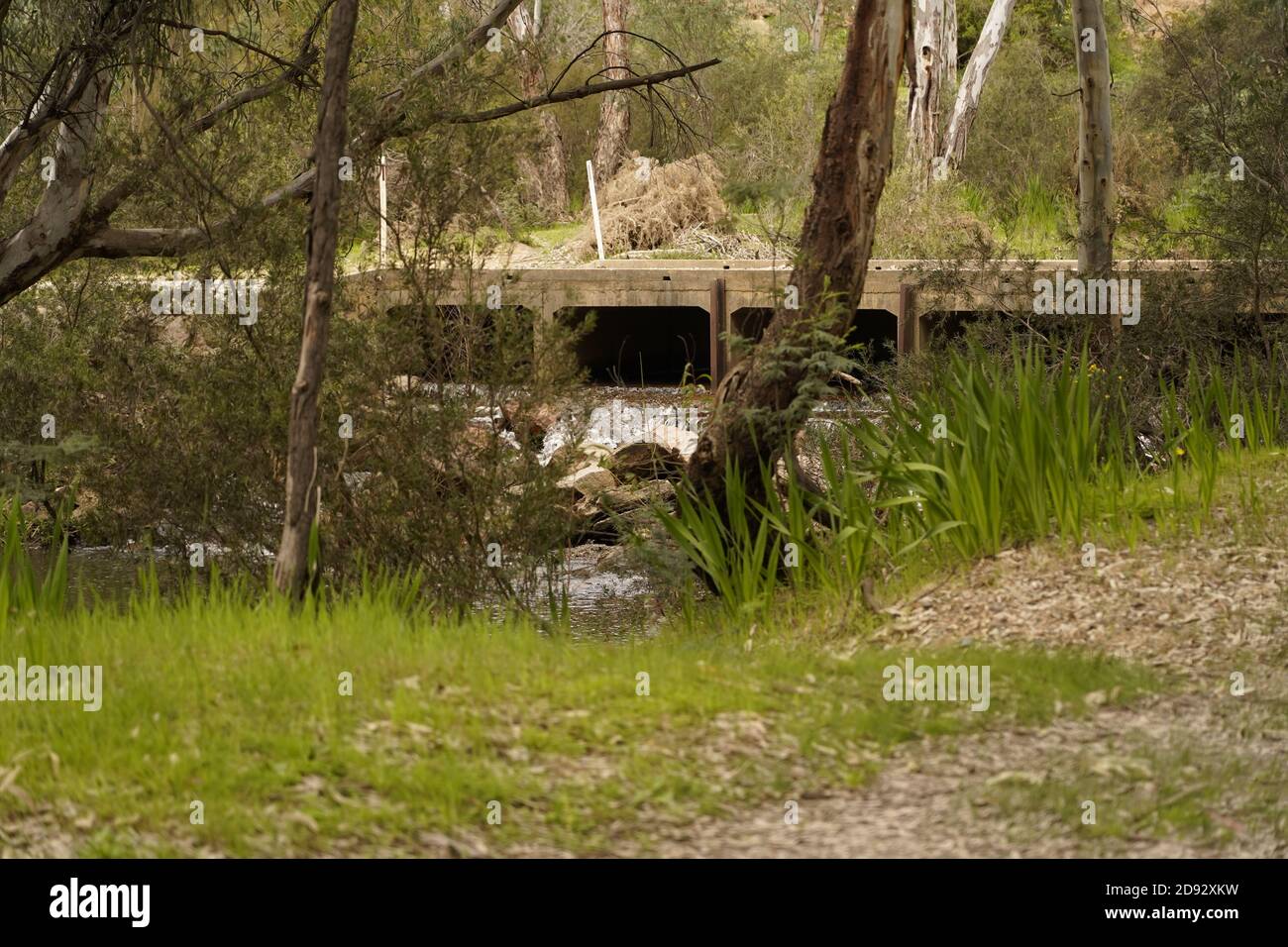 Verkehrskorreuzung bei Reedy Creek, Victoria Australien Stockfoto