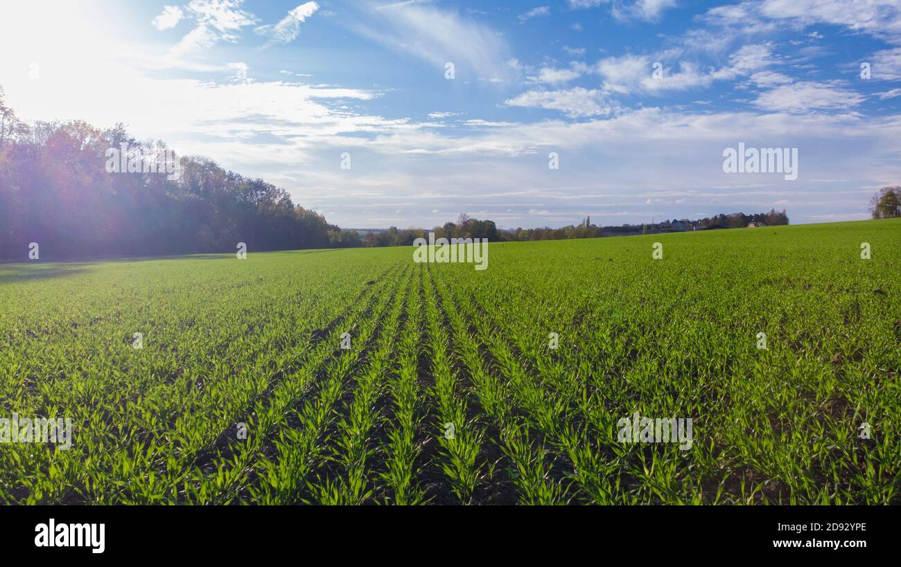 Drohnenfotografien im Herbst mit einer mavic-Luft gemacht. Wurde erkannt, als das Wetter hell und der Himmel klar war. Das Wetter gab eine schöne natürliche Beleuchtung. Stockfoto