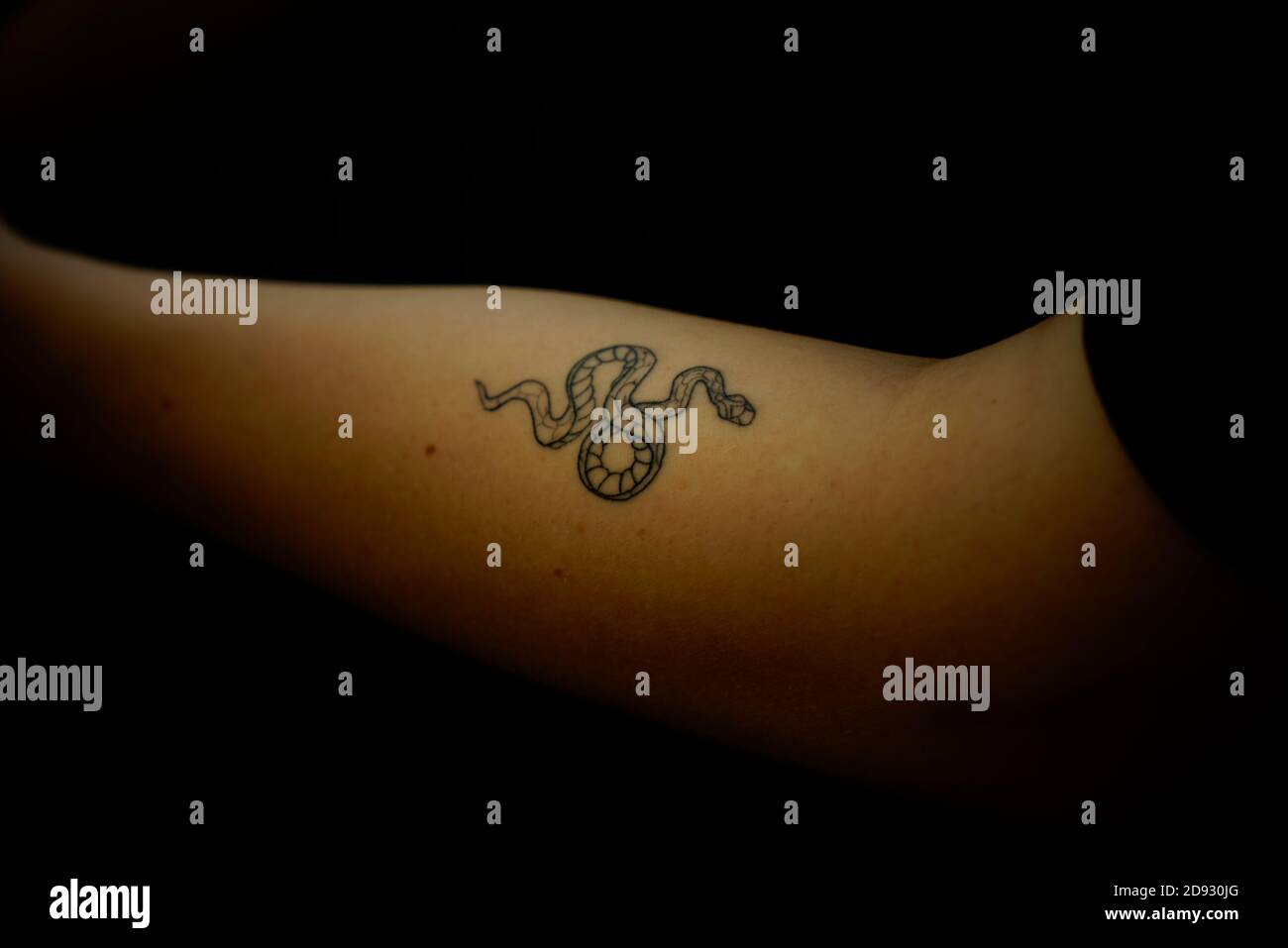 Schlange Tattoo Stockfotos Und Bilder Kaufen Alamy