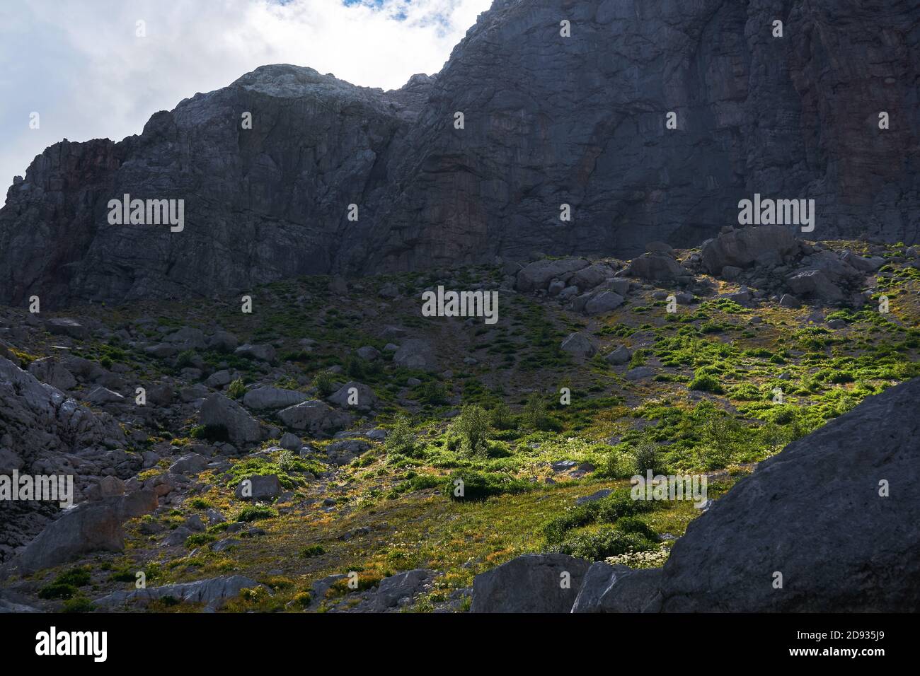 alpines Gletschertal mit steilen Felswänden, Grasböden und Wolkenschatten Stockfoto