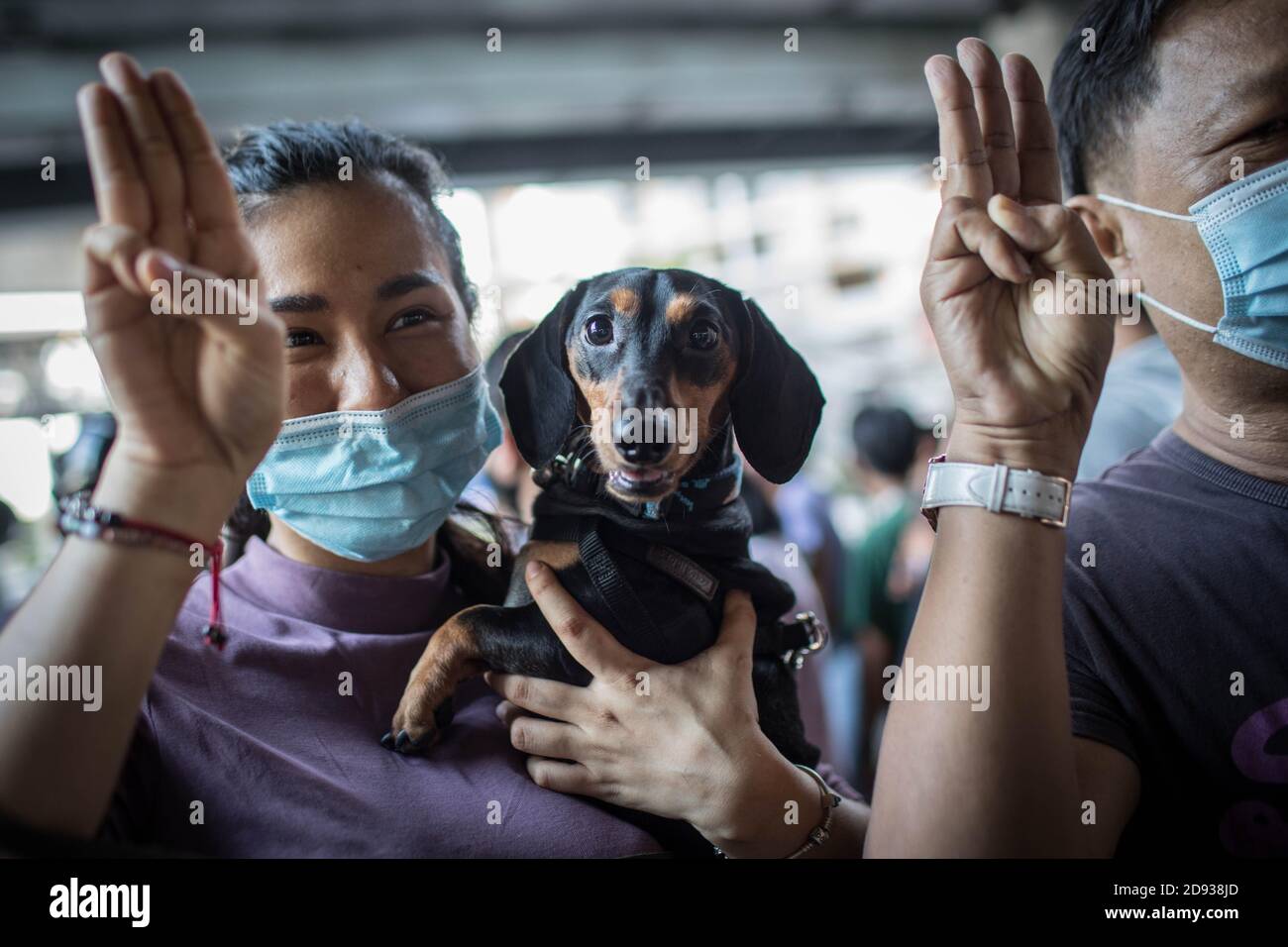 Eine pro-demokratische Protesterin hält ihren Hund, während sie während einer Anti-Regierung-Demonstration in der thailändischen Hauptstadt den dreifingerigen Gruß macht. Tausende von prodemokratischen Demonstranten gingen auf die Straße an der Kreuzung Tha Phra und forderten den Rücktritt des thailändischen Premierministers und die Reform der Monarchie am folgenden Tag, an dem König Maha Vajiralongkorn (Rama X) Macht erste Kommentare über prodemokratische Demonstranten, die sagen: "Wir lieben sie alle gleich" und "Thailand ist das Land des Kompromisses" außerhalb des Großen Palastes. Stockfoto