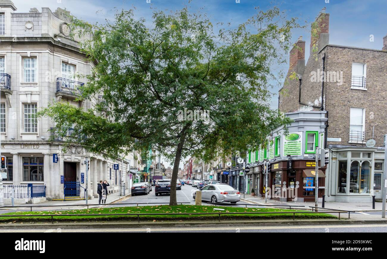 Die Kreuzung von Baggot Street und Pembroke Street in Dublin, Irland, wo ein Baum die Stadtlandschaft durchbricht. Stockfoto