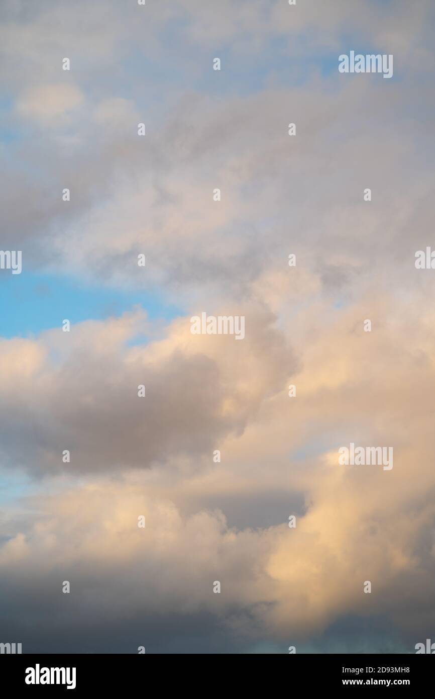 Hochauflösendes Sky-Hintergrundbild für den Einsatz als Sky Replacement. Hochformat. Stratokumuluswolken Stockfoto