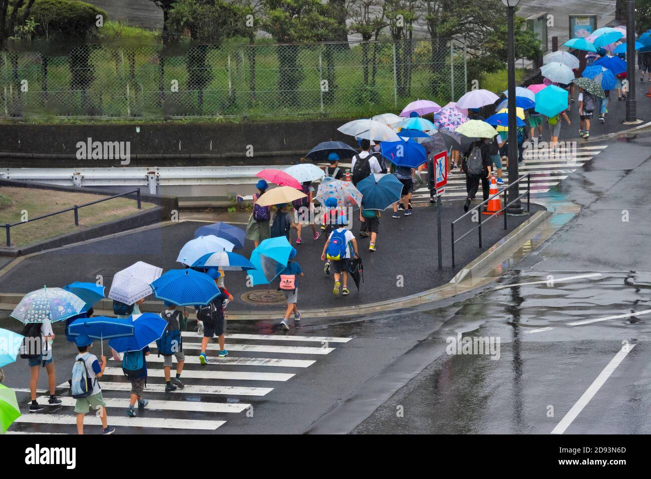 Studenten mit bunten Regenschirmen überqueren die Straße an einem regnerischen Tag, Tokio, Japan Stockfoto