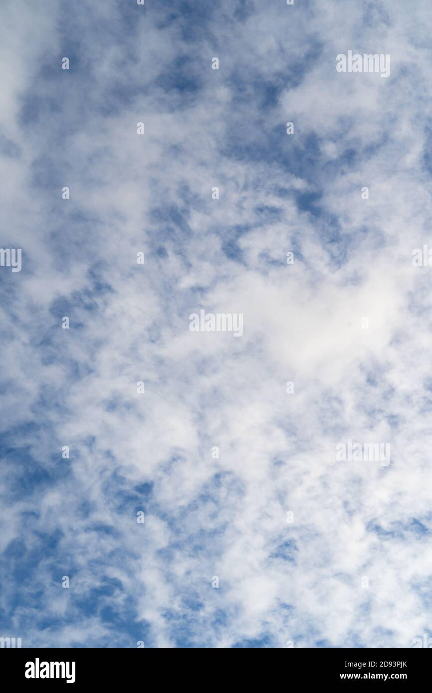 Hochauflösendes Sky-Hintergrundbild für den Einsatz als Sky Replacement. Hochformat. Cirrocumulus Wolken Stockfoto