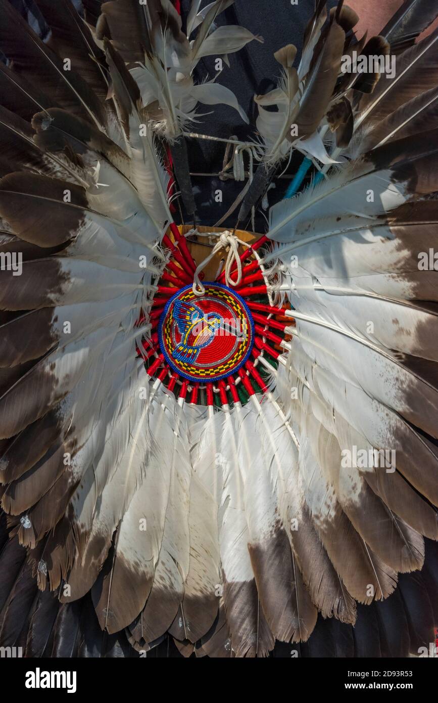 Amerikanischer Ureinwohner in traditioneller Federkleidung, Omak, Staat Washington, USA Stockfoto